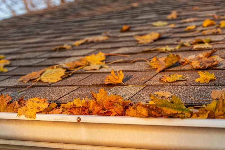 Ways-to-Protect-Your-Roof-This-Fall
